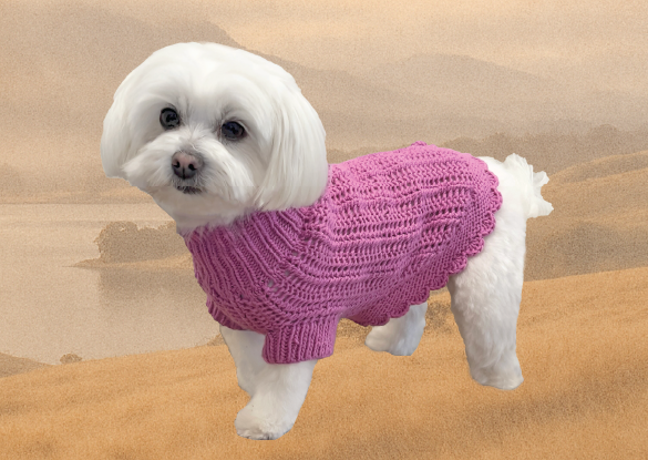From Sheep to Sweater, The Journey of Your Gigi & Bloom Knit
