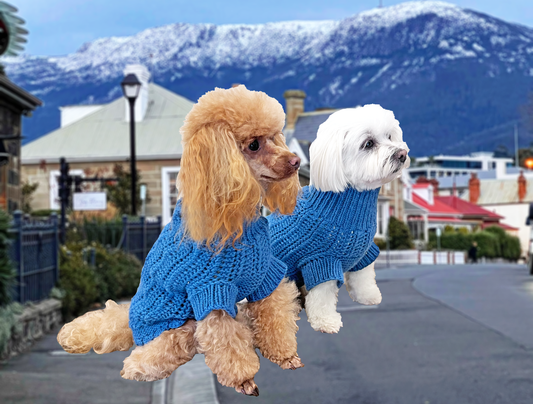 Do Small Dogs Need Jumpers? The Case for Keeping Petite Pups Warm