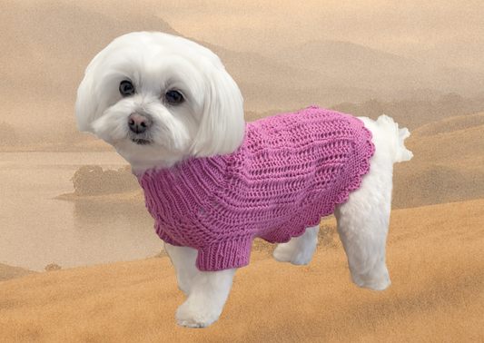 From Sheep to Sweater, The Journey of Your Gigi & Bloom Knit